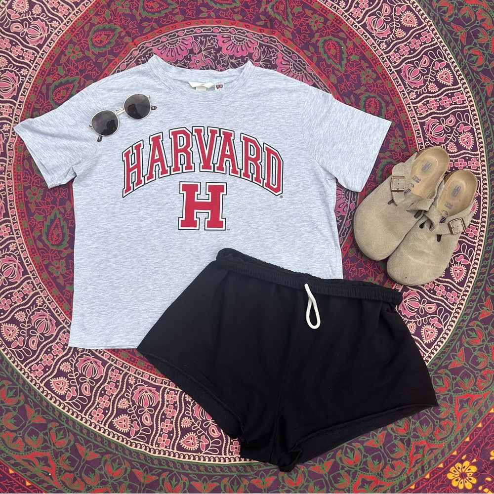 H&M Light Grey Heathered Cropped Crewneck Harvard Graphic Tee T-Shirt | Size M